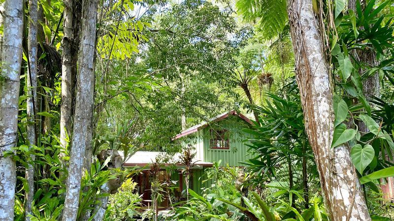 Timber house surrounded by a lush subtropical garden