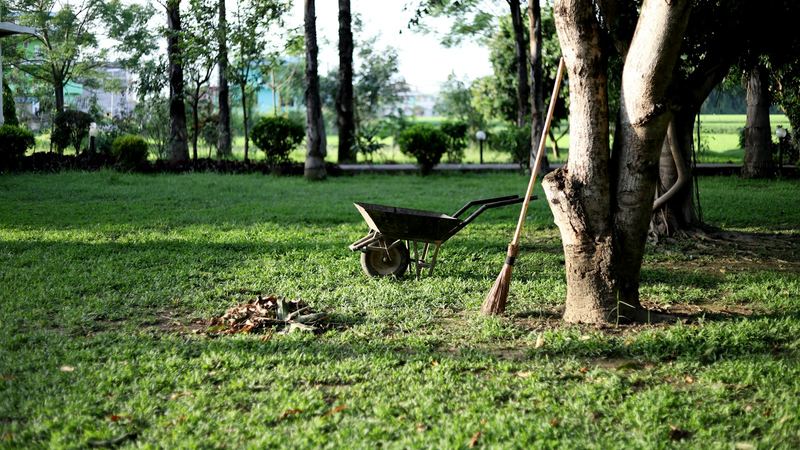 Wheelbarrow and rake on a lawn under shady trees