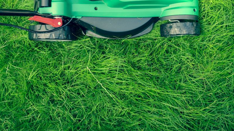 Green lawnmower on thick, long green grass