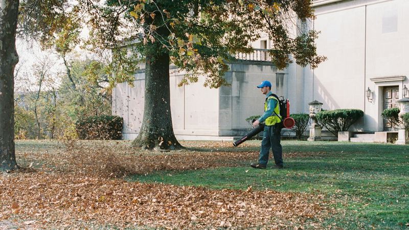 Gardener clearing leaves off a lawn with a leaf blower