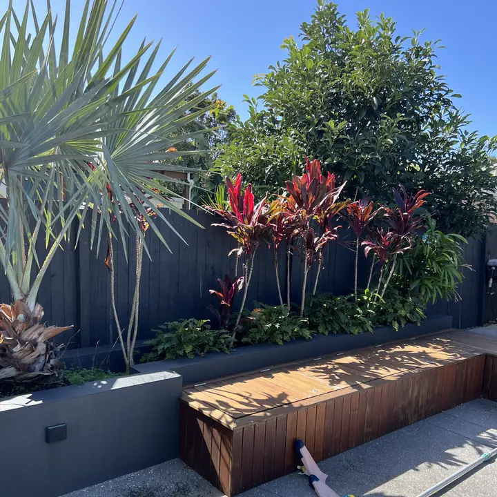 Tropical beds tidied around the outdoor seat, Golden Beach