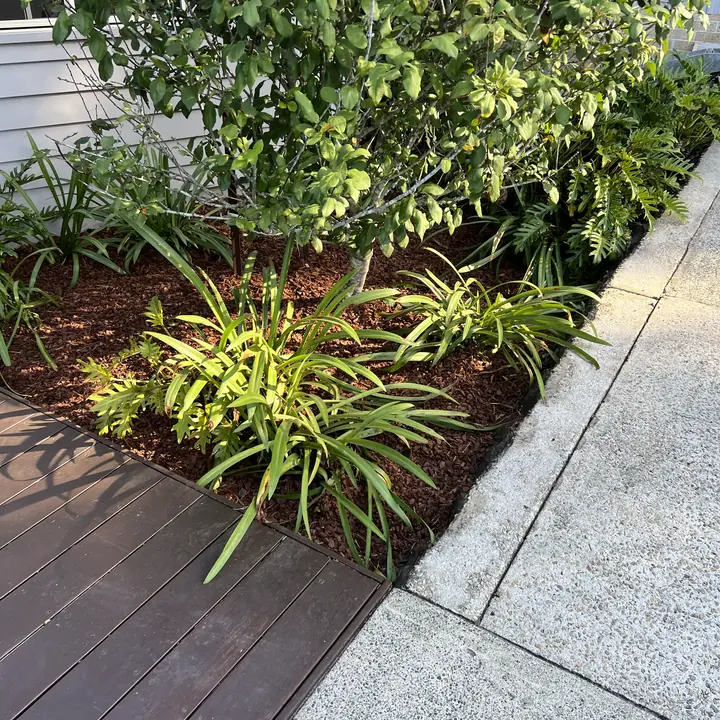 Garden bed weeded and mulched beside the deck, Sunshine Coast hinterland
