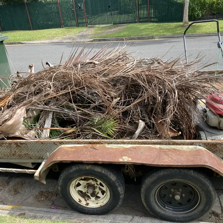 One clean-up's green waste, loaded and gone the same day, Yandina
