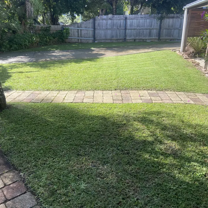 Back lawn on its fortnightly mow, Yandina