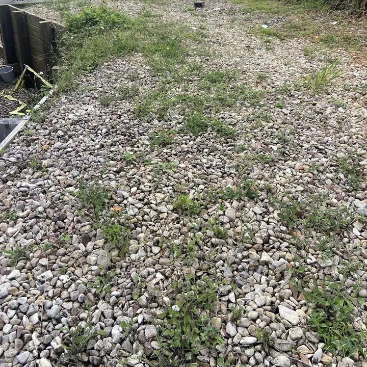 Before: weedy gravel driveway edge cleaned up, Yandina